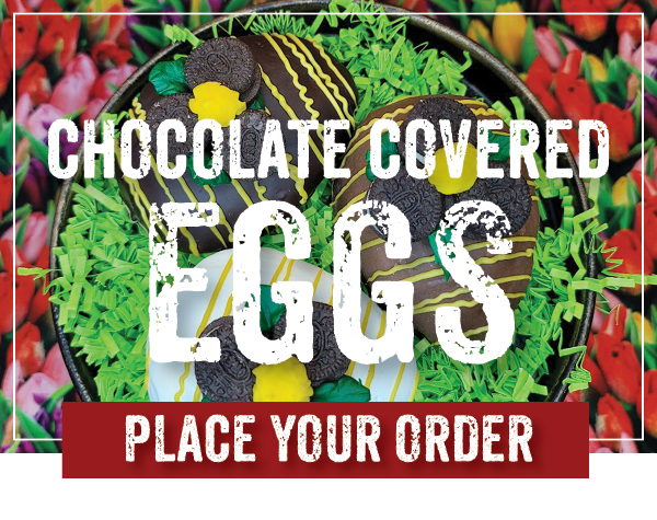 Orrs Chocolate Covered Eggs